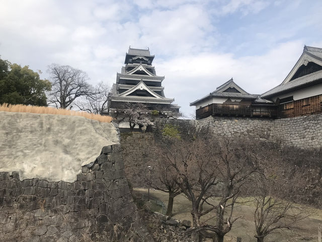 日本三名城-熊本城（地震重建中）