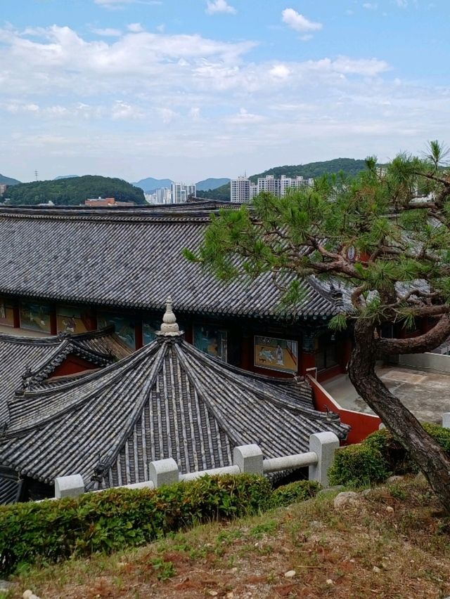 감성 데이트 하기 좋은 사찰