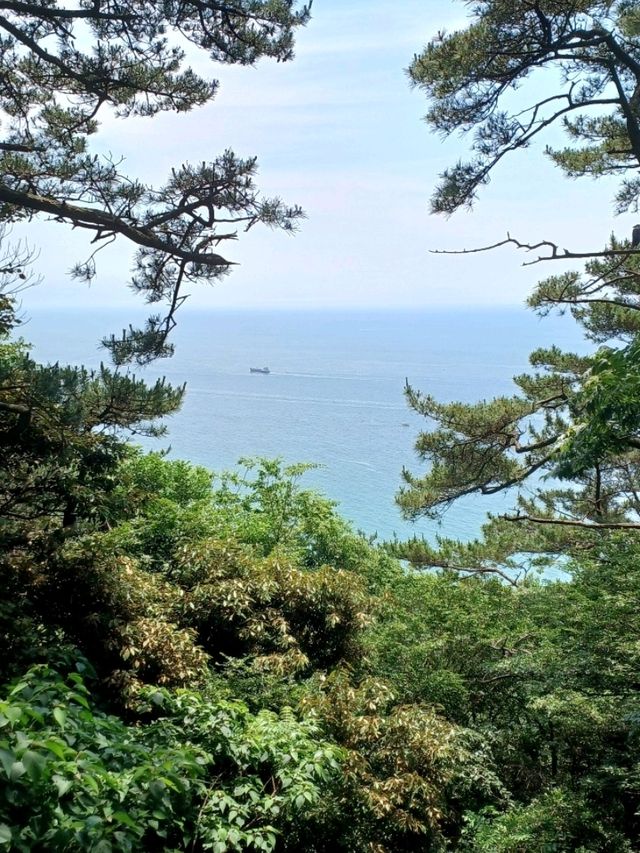 절벽과 바다가 빚어낸 드라마틱한 해안 절경 탐방