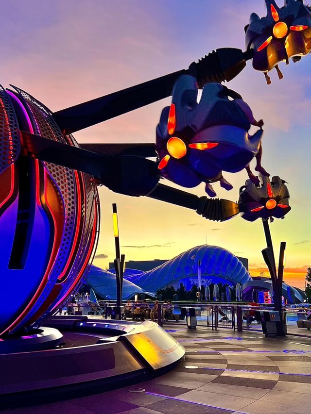Disney Dreams in Shanghai: A Park Like No Other