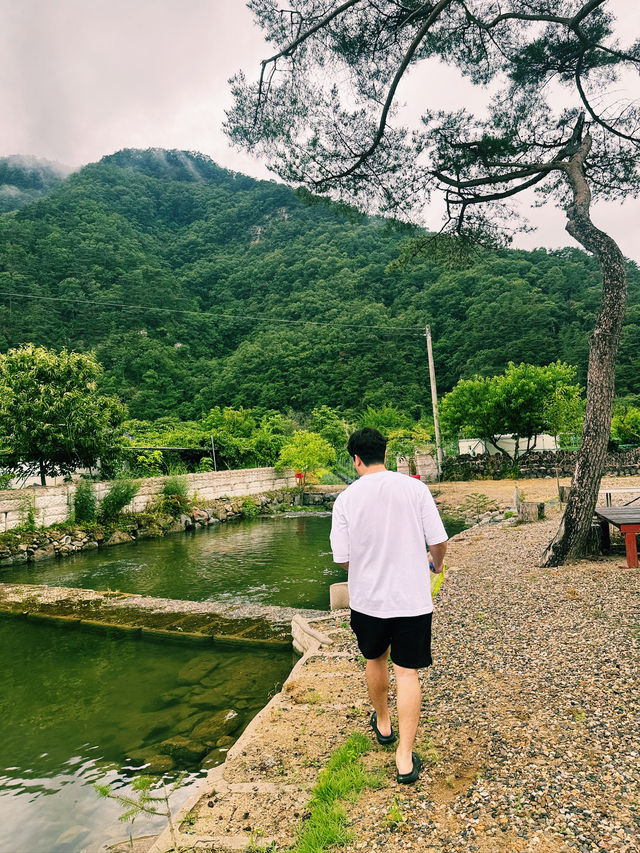 칠봉산 캠핑카 여행 – 임진강 품은 여름의 힐링 드라이브 l