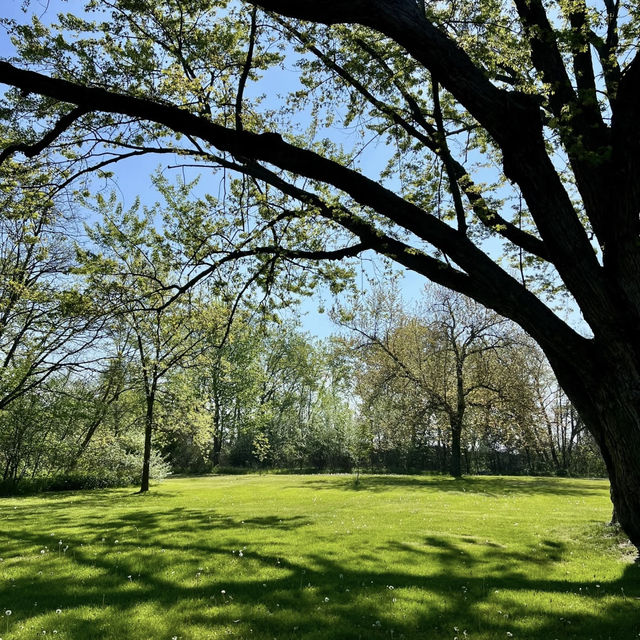 羅馬街公園·美麗綠洲