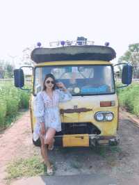 สวนดอกไม้ บ้านไร่นายรุ่ง กาญจนบุรี