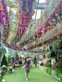 Discover the Magic of Singapore’s Floral Fantasy at Gardens by the Bay 