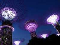 Gardens by the Bay.