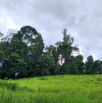 อ่างเก็บน้ำสายศร อุทยานแห่งชาติเขาใหญ่