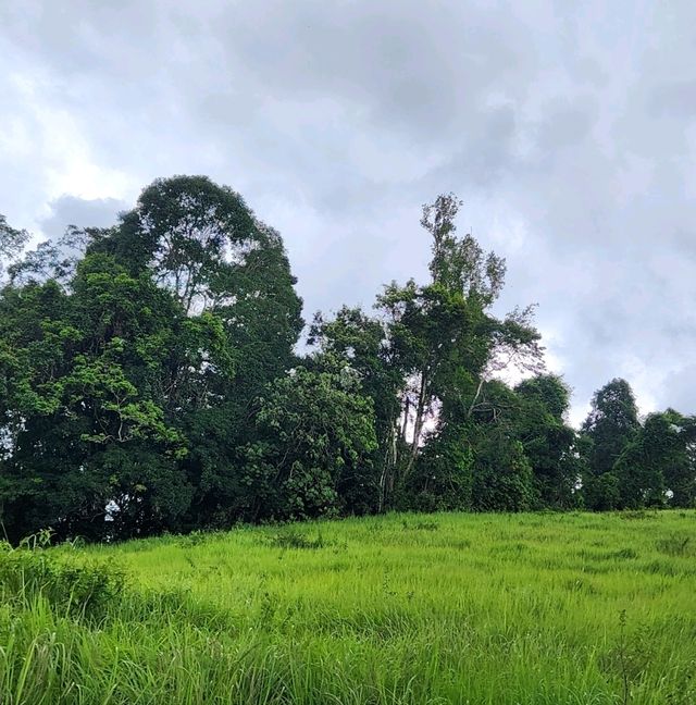 อ่างเก็บน้ำสายศร อุทยานแห่งชาติเขาใหญ่