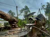 Experience the australian outback in Bird Paradise