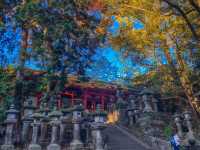 รีวิว Nara Park – เดินชิล, ใบไม้โรแมนติก และผองเพื่