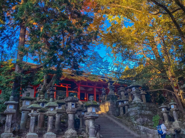 รีวิว Nara Park – เดินชิล, ใบไม้โรแมนติก และผองเพื่