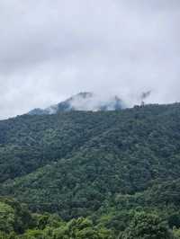 First Valley Coffee Estate | Chiangmai 