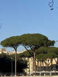 The Coin, The Myth, The Majesty: Trevi Unmasked 