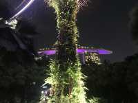 新加坡-濱海灣天空樹燈光秀