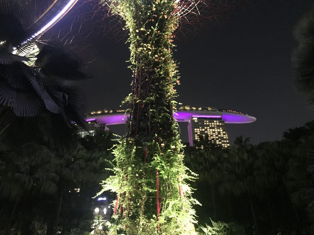 新加坡-濱海灣天空樹燈光秀