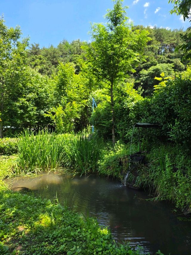 여름에 꼭 가야할 한국의 치앙마이 하동카페💚
