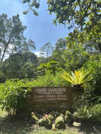 Oasis Garden: Sunday Blooming Like My Excuses