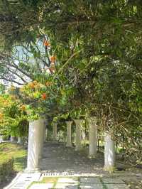 🌿 Urban Escape: Discover Perdana Botanical Garden, Kuala Lumpur