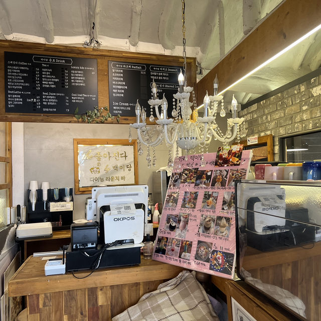 ☀️경주 황리단길 감성카페 백이당, 한옥 속 햇살 머무는 온실☕️