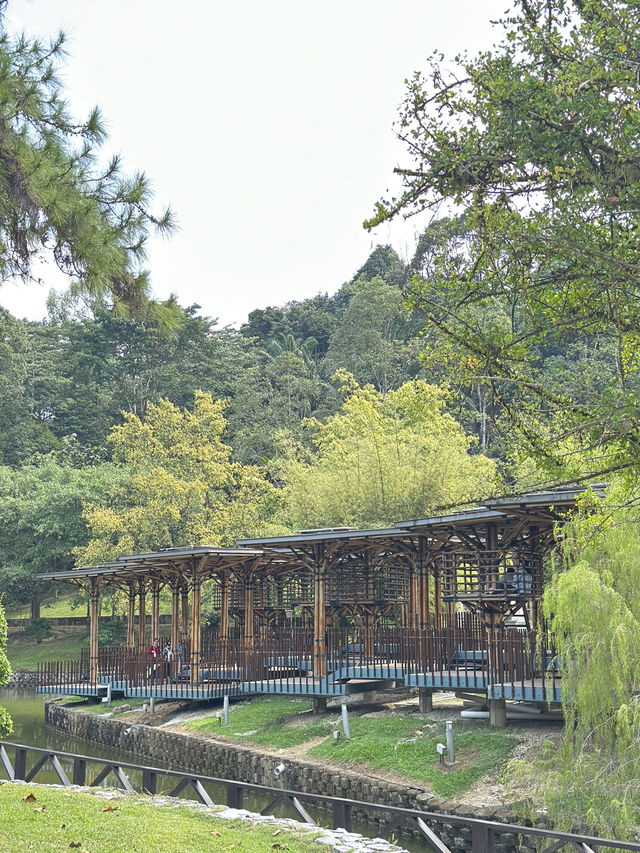 Bamboo Playhouse: KL’s Most Photogenic Treehouse 🌳📸