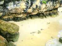 Beyond the Shore: Britania Group of Islands