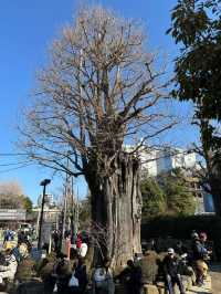 Sensō-ji: A Journey Through Tokyo’s Sacred Soul