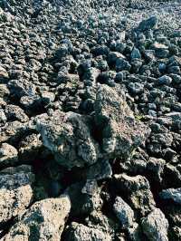 From Fire to Farm: Black Lava Trails of Mount Batur