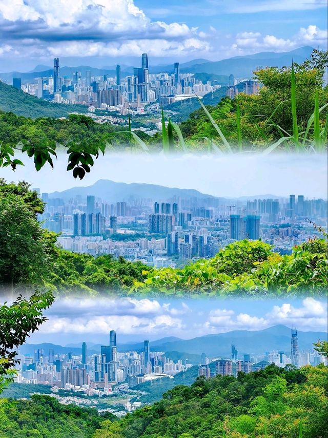 深圳銀湖山郊野公園 • 徒步、騎行