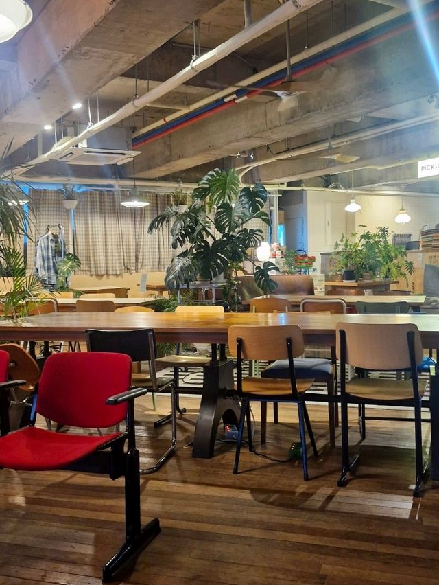 광안리 플랜테리어가 예쁜 카페 워킹홀리데이🍀