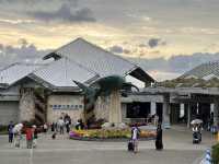 Okinawa Churaumi Aquarium