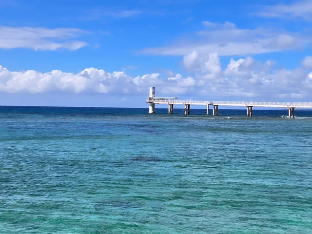 沖繩景點行程分享 必遊水族館 美國村 