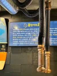 [남양주] 꼼장어 입문자 여기로❗️