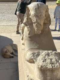 Karnak: Where Pharaohs Stacked Egos Like Lego’s 