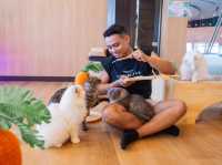 Cat Sky Bar Cafe - Pattaya
