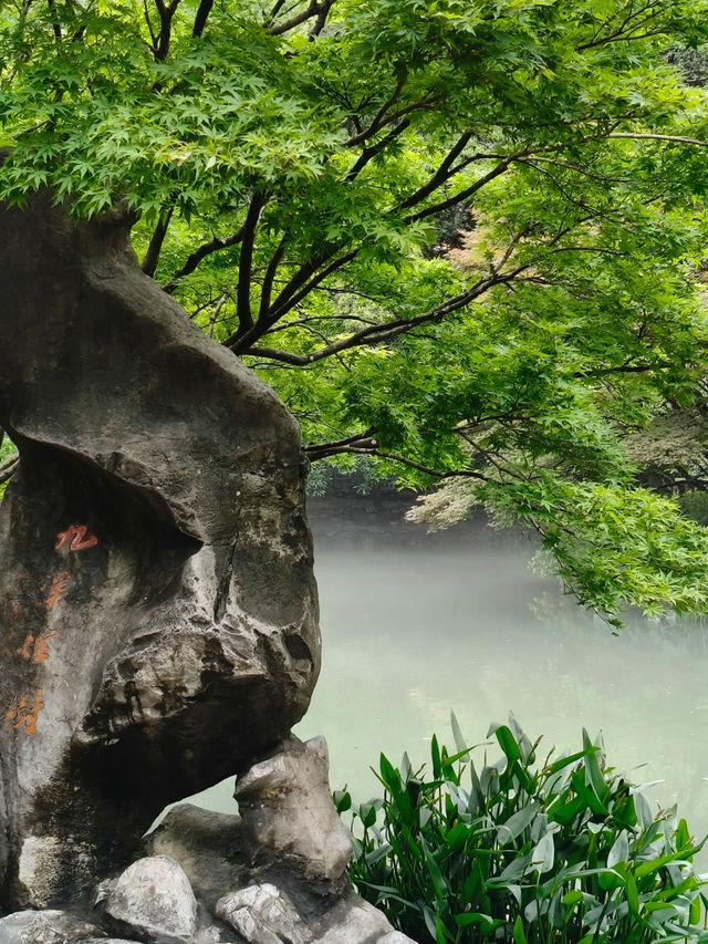 Jiuxi Shibajian 🌿💧