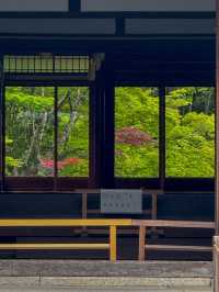 【南禅寺】水路閣と禅の静寂に癒される🍂京都の奥深さに触れる旅