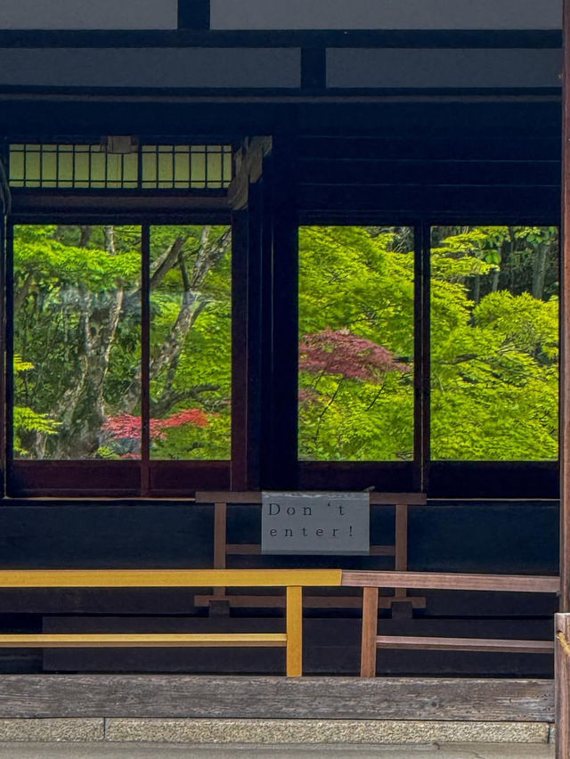 【南禅寺】水路閣と禅の静寂に癒される🍂京都の奥深さに触れる旅