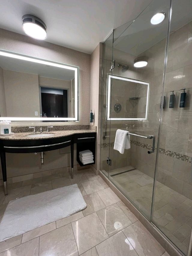 Hilton Americas-Houston