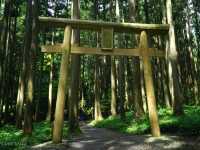 【山形】祠の背面の岩場から流れ出る滝！「胴腹滝」も涼感スポット