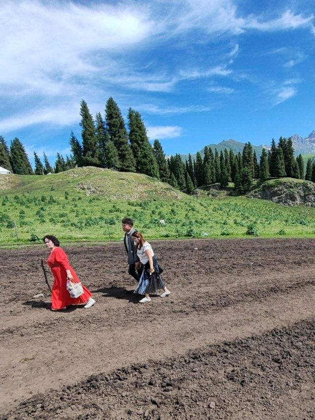 A Memorable Return Journey from Fairy Lake Horseback Riding Trip