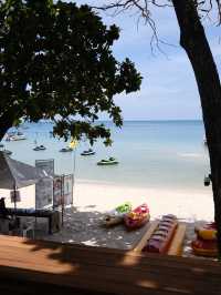 TOP NOTCH EXPERIENCE IN KO SAMUI 💖
