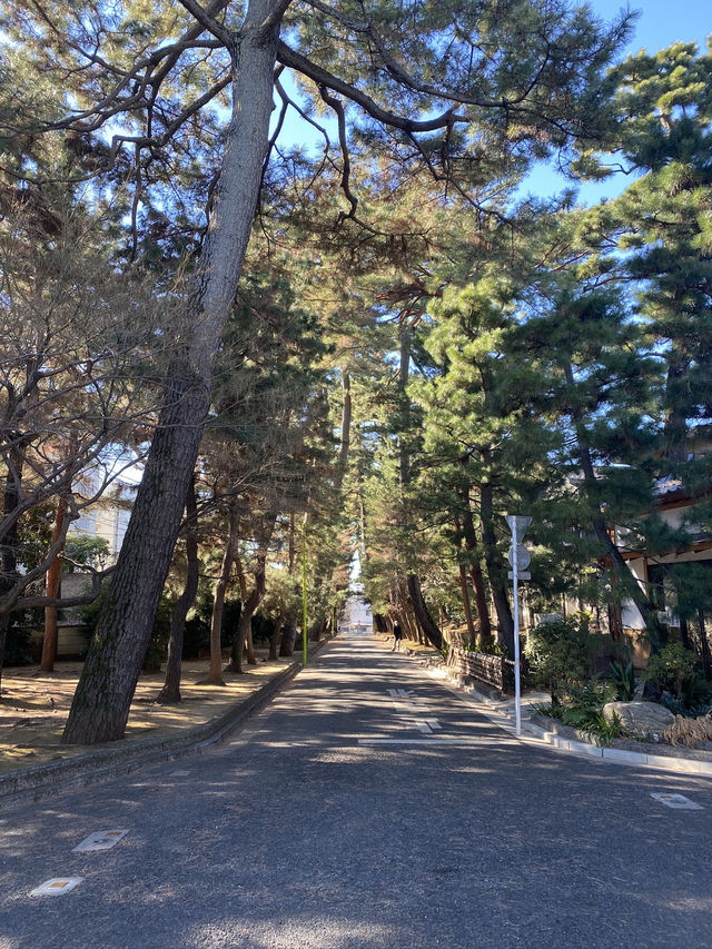 Gotokuji Temple in Tokyo