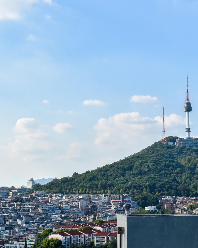 Seoul and Busan Moments
