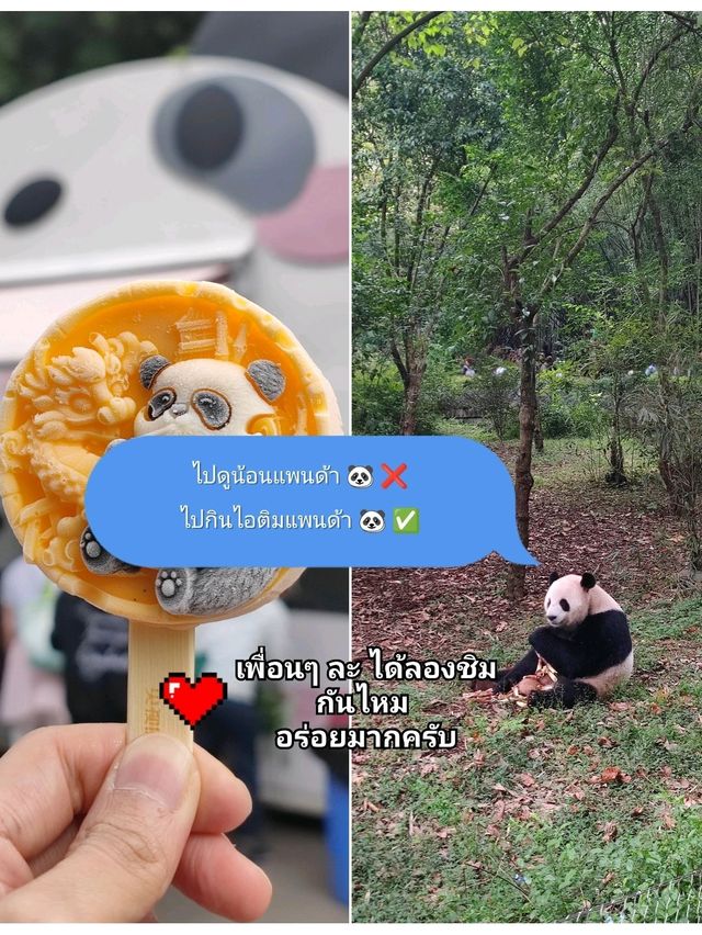 ไปดูน้อนแพนด้า 🐼 vs ไปกินไอติมแพนด้า 🍦เฉิงตู