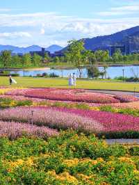 🔥 Passion Meets Romance: A Blooming Paradise at Tongjian Lake, Hangzhou 🌸