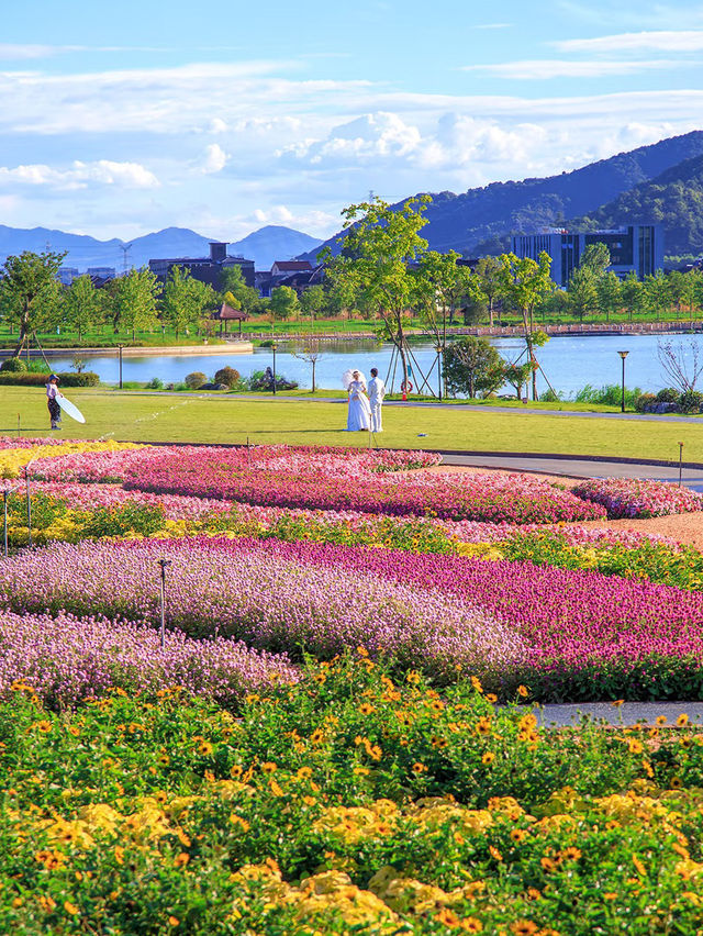 🔥 Passion Meets Romance: A Blooming Paradise at Tongjian Lake, Hangzhou 🌸