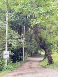 รีวิวCypress Lanes สวนสวยกลางหุบเขา เชียงไหม่