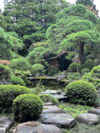 柴又-山本亭 與歷史建築對話