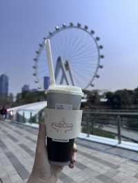 ชิงช้าสวรรค์ Oh Bay Shenzhen 🎡