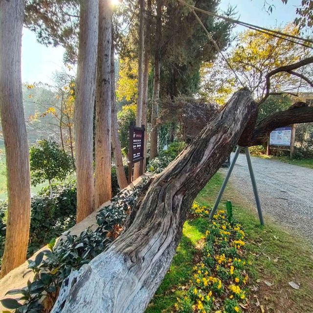 Lijiang Old Town (Yunnan)