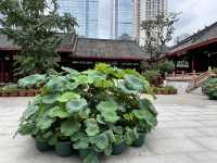 🛕 Dashengci Temple – Serenity in the Heart of Chengdu